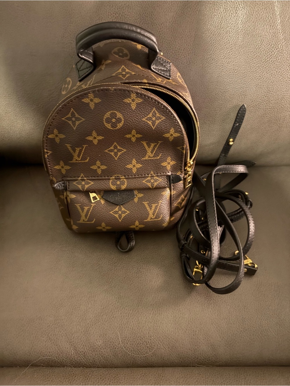 Louis Vuitton Mini Palm Springs Backpack